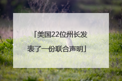 美国22位州长发表了一份联合声明