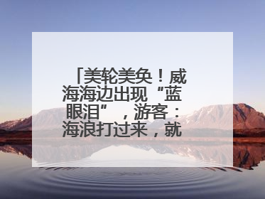 美轮美奂！威海海边出现“蓝眼泪”，游客：海浪打过来，就像星河一样