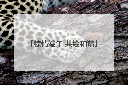 粽情端午 共绘和谐