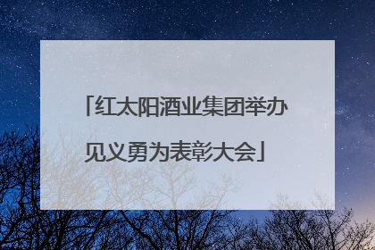 红太阳酒业集团举办见义勇为表彰大会