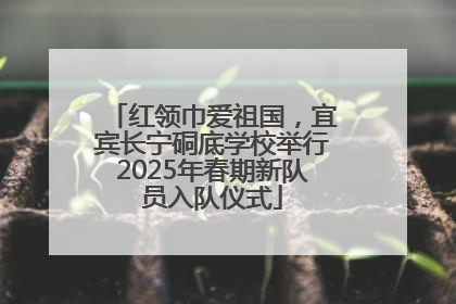 红领巾爱祖国，宜宾长宁硐底学校举行2025年春期新队员入队仪式