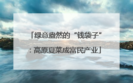 绿意盎然的“钱袋子”：高原夏菜成富民产业