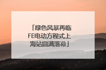 绿色风暴再临 FE电动方程式上海站圆满落幕