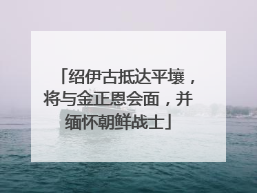 绍伊古抵达平壤，将与金正恩会面，并缅怀朝鲜战士