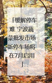 缓解停车难 宁波蔬菜批发市场新停车场将在7月启用