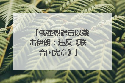 俄强烈谴责以袭击伊朗：违反《联合国宪章》