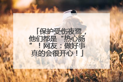 保护受伤夜鹭，他们都是“热心肠”！网友：做好事真的会很开心！