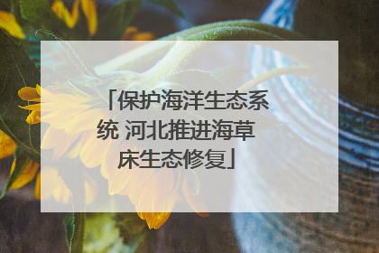 保护海洋生态系统 河北推进海草床生态修复