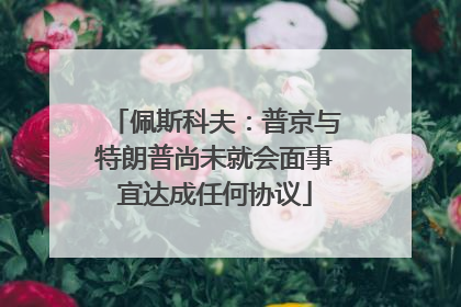 佩斯科夫：普京与特朗普尚未就会面事宜达成任何协议