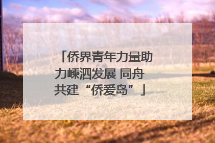 侨界青年力量助力嵊泗发展 同舟共建“侨爱岛”