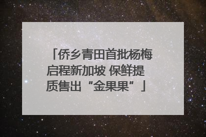 侨乡青田首批杨梅启程新加坡 保鲜提质售出“金果果”