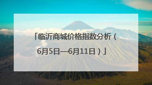 临沂商城价格指数分析（6月5日—6月11日）