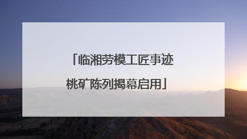 临湘劳模工匠事迹桃矿陈列揭幕启用