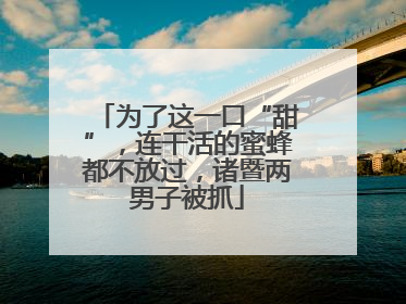 为了这一口“甜”，连干活的蜜蜂都不放过，诸暨两男子被抓