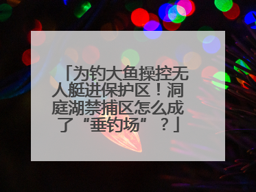 为钓大鱼操控无人艇进保护区！洞庭湖禁捕区怎么成了“垂钓场”？