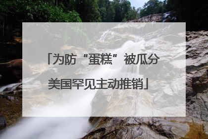 为防“蛋糕”被瓜分 美国罕见主动推销