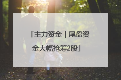 主力资金｜尾盘资金大幅抢筹2股