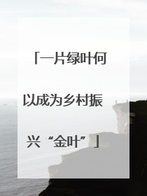 一片绿叶何以成为乡村振兴“金叶”