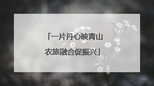 一片丹心映青山 农旅融合促振兴