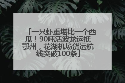 一只虾重堪比一个西瓜！90吨活波龙运抵鄂州，花湖机场货运航线突破100条