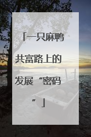 一只麻鸭共富路上的发展“密码”