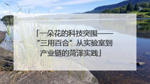 一朵花的科技突围——“三用百合”从实验室到产业链的菏泽实践