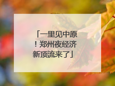 一里见中原！郑州夜经济新顶流来了