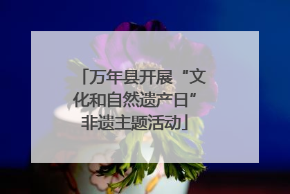 万年县开展“文化和自然遗产日”非遗主题活动
