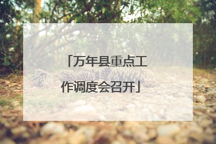 万年县重点工作调度会召开