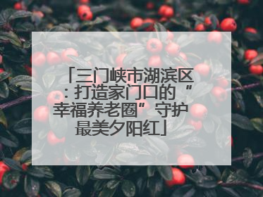 三门峡市湖滨区：打造家门口的“幸福养老圈”守护最美夕阳红