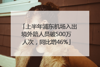 上半年浦东机场入出境外籍人员破500万人次，同比增46%