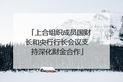 上合组织成员国财长和央行行长会议支持深化财金合作
