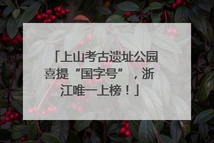 上山考古遗址公园喜提“国字号”，浙江唯一上榜！