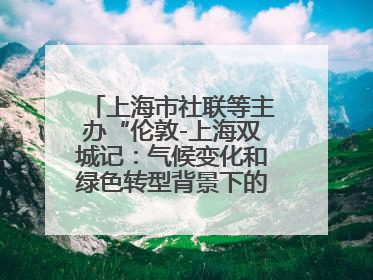 上海市社联等主办“伦敦-上海双城记：气候变化和绿色转型背景下的考古、历史和文化遗产”学术对话