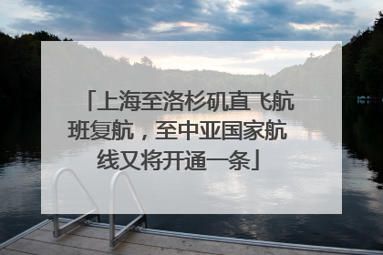 上海至洛杉矶直飞航班复航，至中亚国家航线又将开通一条