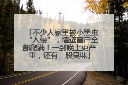不少人家里被小黑虫“入侵”，墙壁窗户全部爬满！一到晚上更严重，还有一股臭味