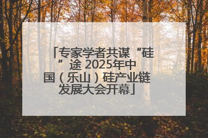 专家学者共谋“硅”途 2025年中国（乐山）硅产业链发展大会开幕