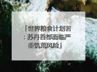 世界粮食计划署：苏丹首都面临严重饥荒风险