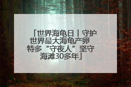 世界海龟日丨守护世界最大海龟产卵 特多“守夜人”坚守海滩30多年