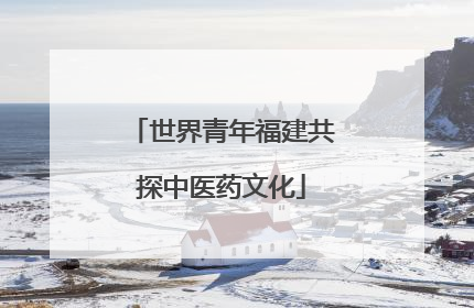 世界青年福建共探中医药文化