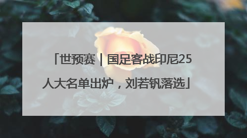 世预赛｜国足客战印尼25人大名单出炉，刘若钒落选