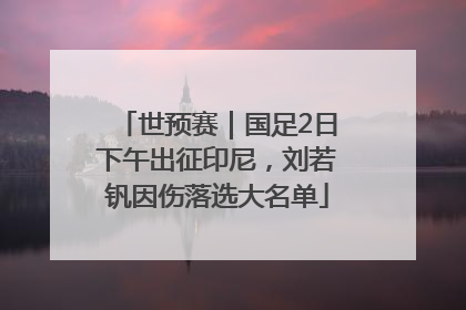 世预赛｜国足2日下午出征印尼，刘若钒因伤落选大名单