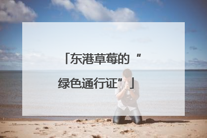 东港草莓的“绿色通行证”