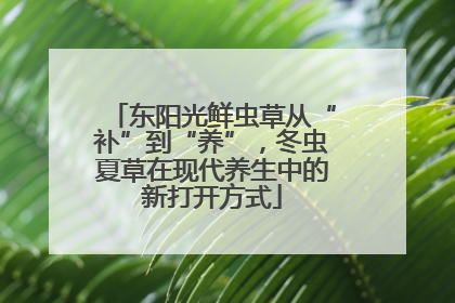 东阳光鲜虫草从“补”到“养”，冬虫夏草在现代养生中的新打开方式