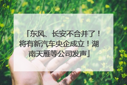 东风、长安不合并了！将有新汽车央企成立！湖南天雁等公司发声