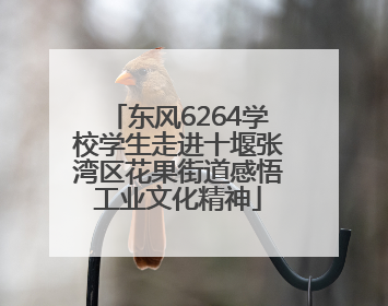 东风6264学校学生走进十堰张湾区花果街道感悟工业文化精神