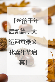 丝韵千年启新篇，大运河蚕桑文化嘉年华启幕