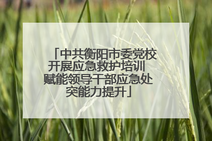 中共衡阳市委党校开展应急救护培训 赋能领导干部应急处突能力提升