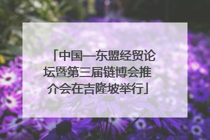 中国—东盟经贸论坛暨第三届链博会推介会在吉隆坡举行