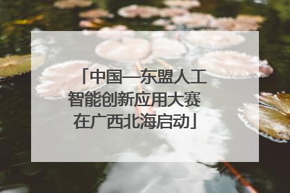 中国—东盟人工智能创新应用大赛在广西北海启动